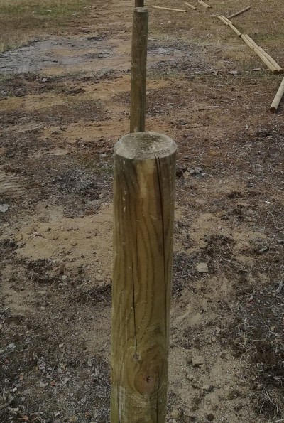 Poste de madera con rajas o fendas debido a la dilatación producida por humedad