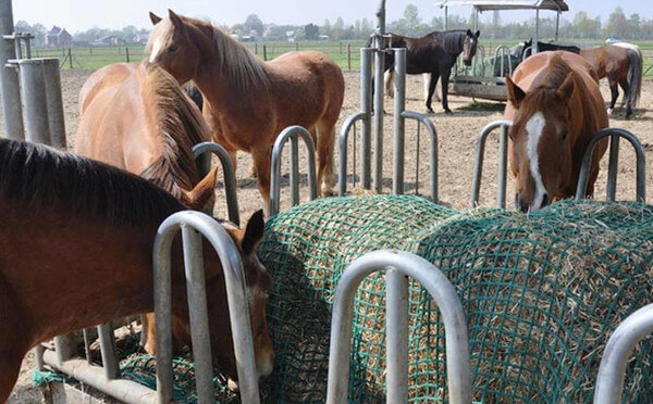 Comedero de Heno con red para fomentar el slow feeding en los caballos