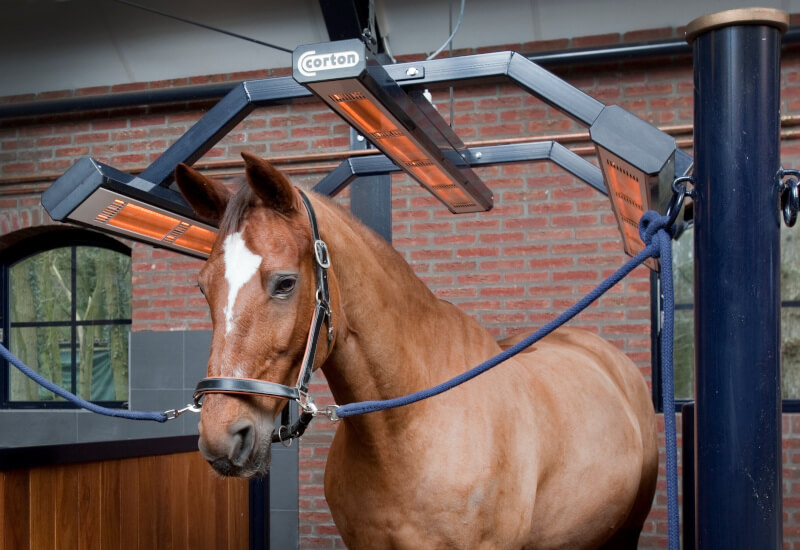 Solarium para caballos, ejemplo de Equipamiento de Instalaciones Ecuestres